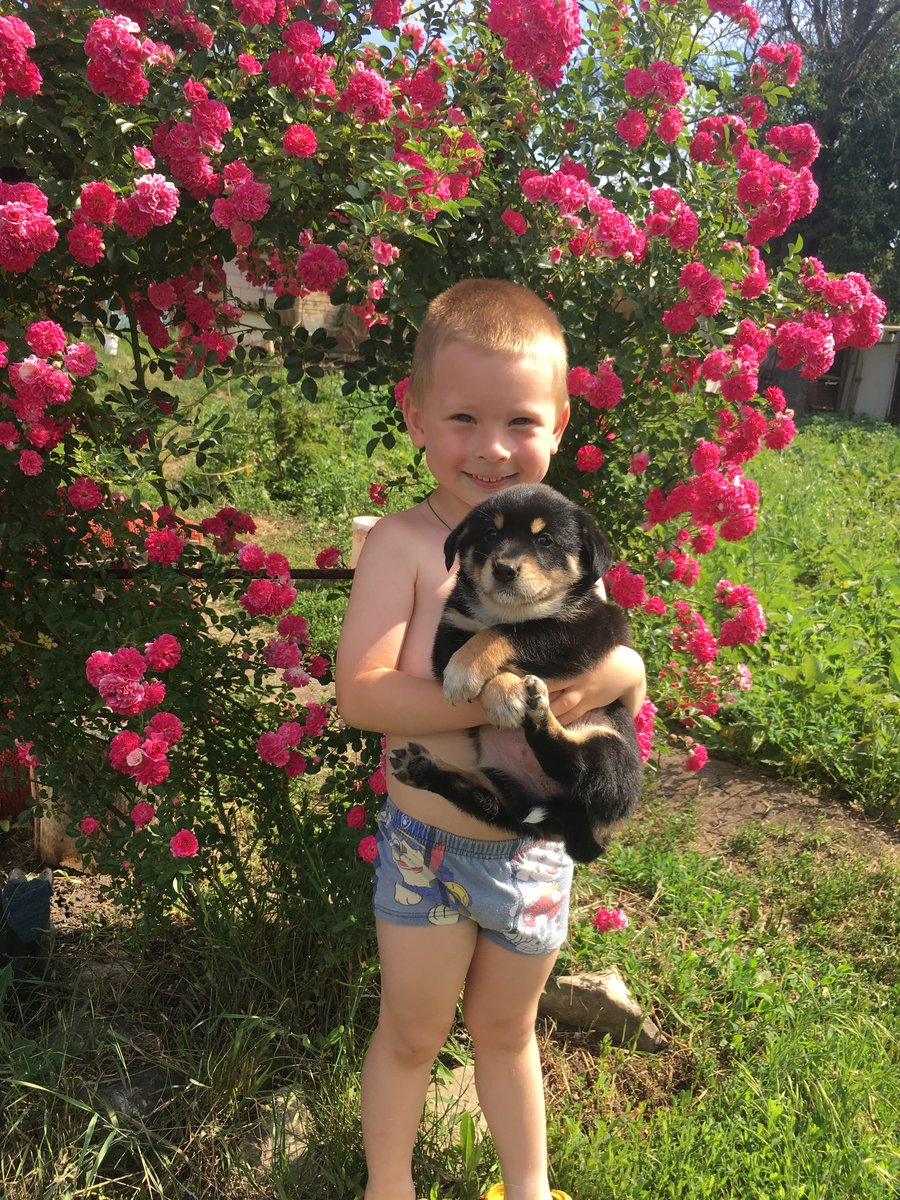 Сыночек - сын, моя радость - оригинал