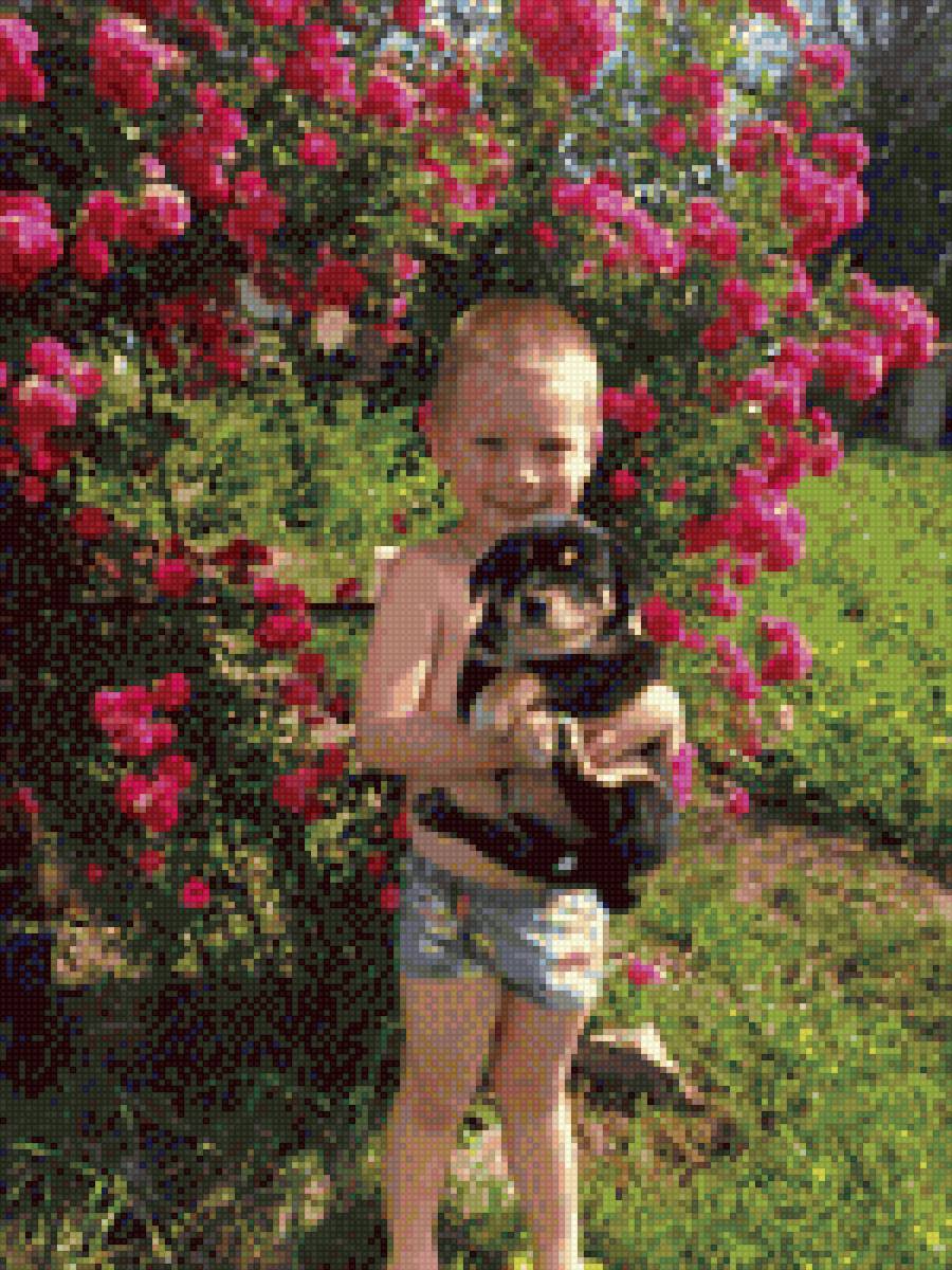 Сыночек - моя радость, сын - предпросмотр