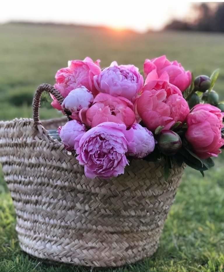 Квіти - оригинал