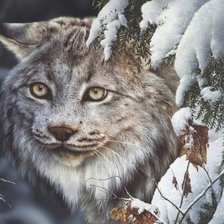 Схема вышивки «дикие»