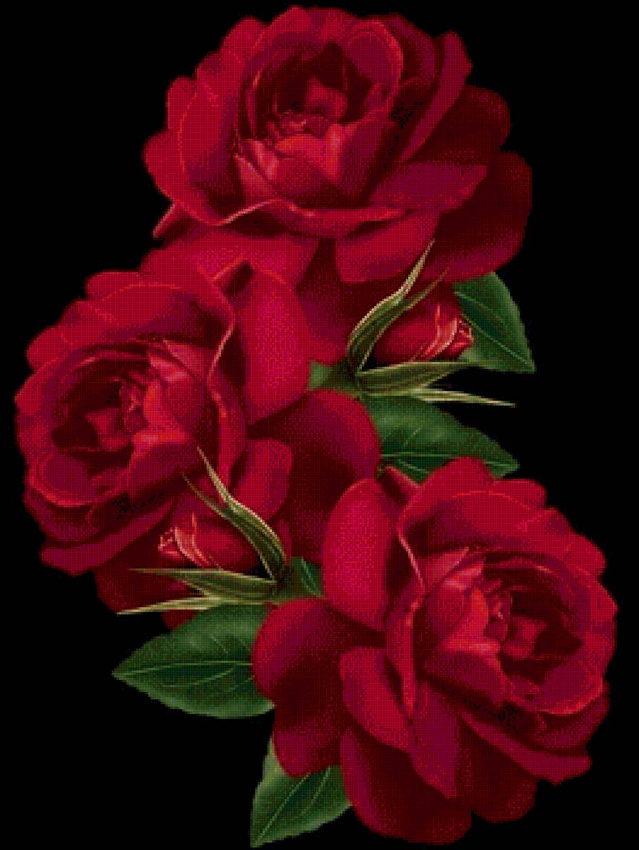 цветы - предпросмотр