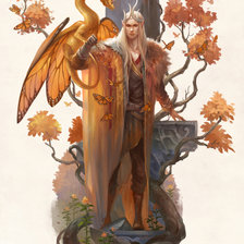 Схема вышивки «Махаон»