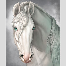 Оригинал схемы вышивки «Белый конь.» (№2095756)