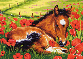 Жеребенок - кони, жеребенок, лошадь - оригинал