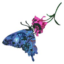 Схема вышивки «Бабочка»