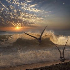 Схема вышивки «№2096023»