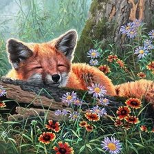 Оригинал схемы вышивки «дикие» (№2096130)