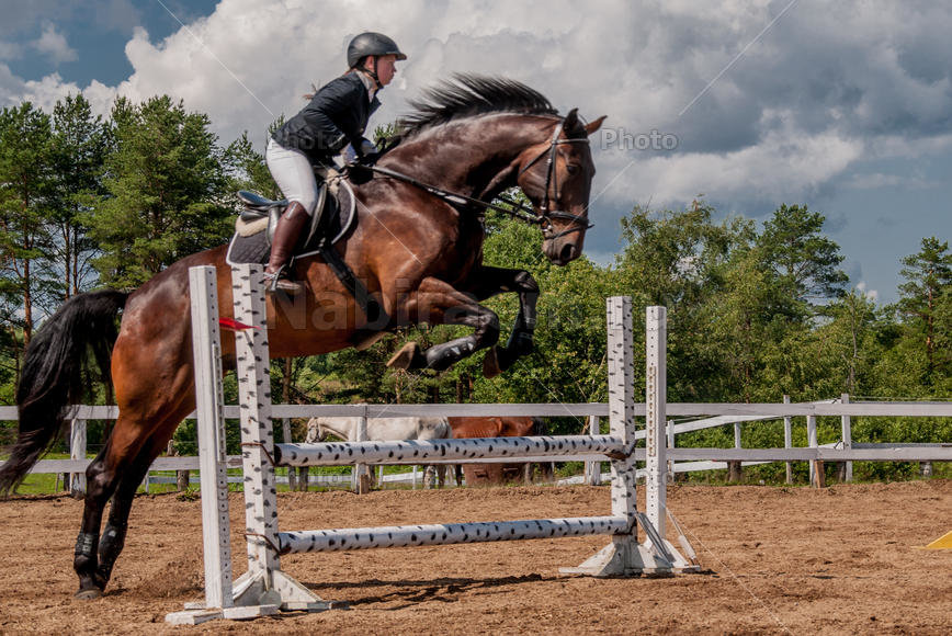Через барьер - лошадь, прыжок - оригинал