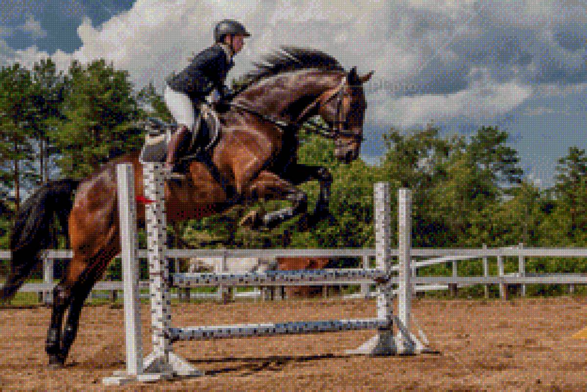 Через барьер - лошадь, прыжок - предпросмотр