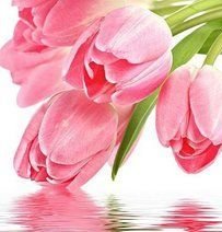 Схема вышивки «гердан»