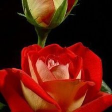 Схема вышивки «гердан»