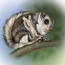 Схема вышивки «№2096836»