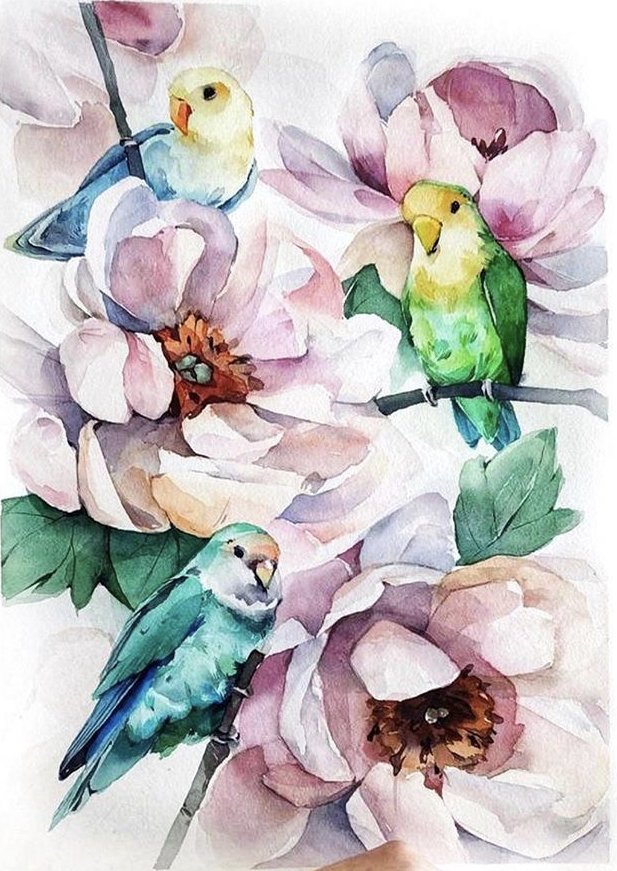 Попугаи - цветы, попугаи, птицы, акварель - оригинал