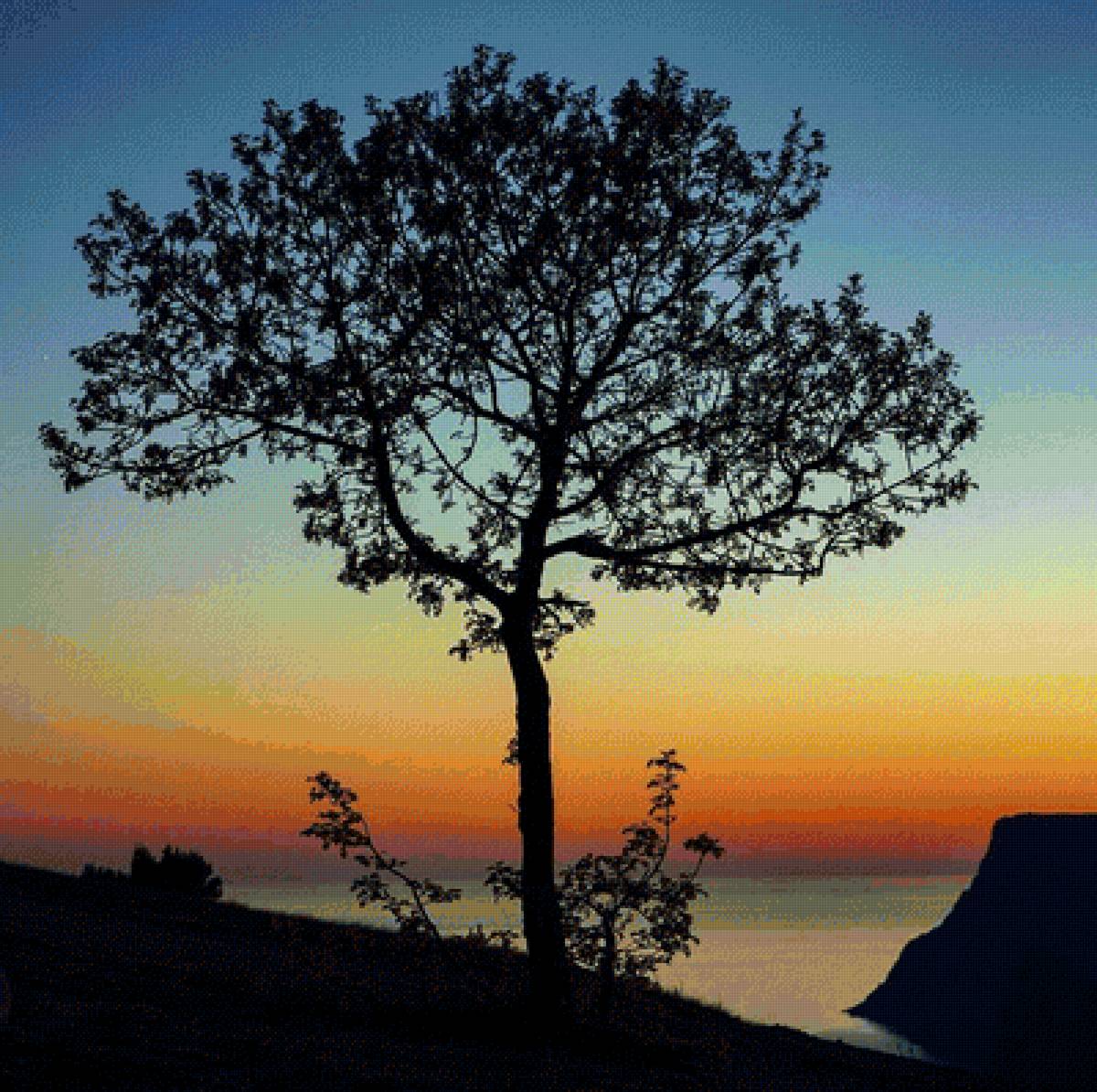 Закат - дерево, гора, море, закат - предпросмотр