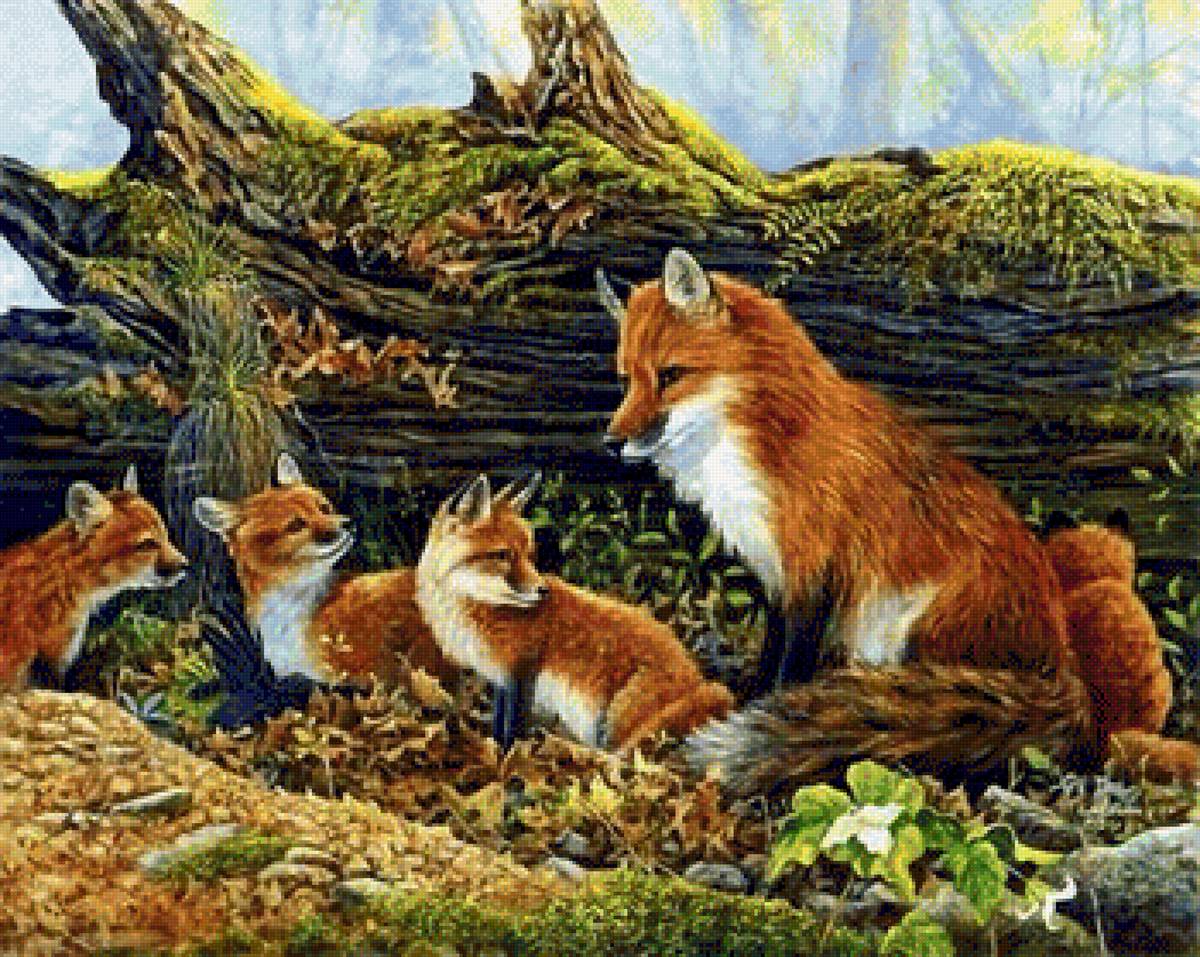 лисички - предпросмотр