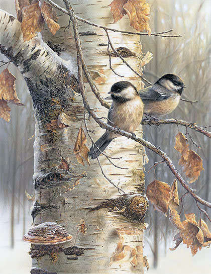 №2097414 - осень, береза, птички - оригинал