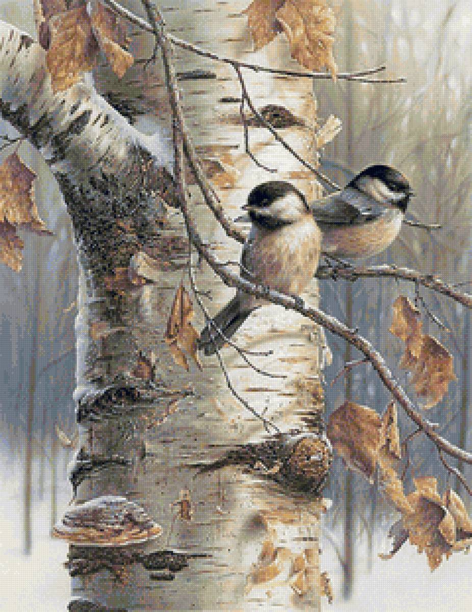 №2097414 - птички, осень, береза - предпросмотр