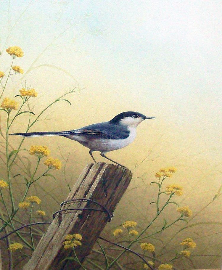 Худ. Ральф Ватерхаус - лето, птицы - оригинал