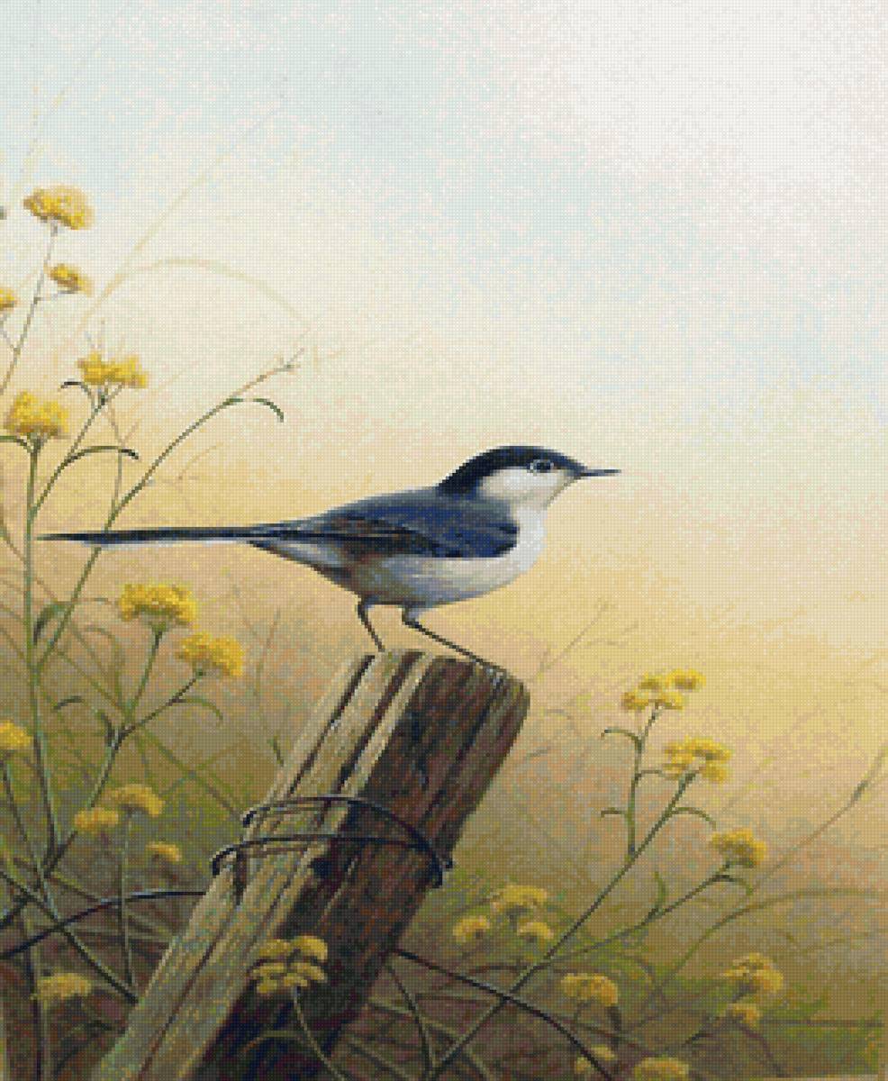 Худ. Ральф Ватерхаус - птицы, лето - предпросмотр