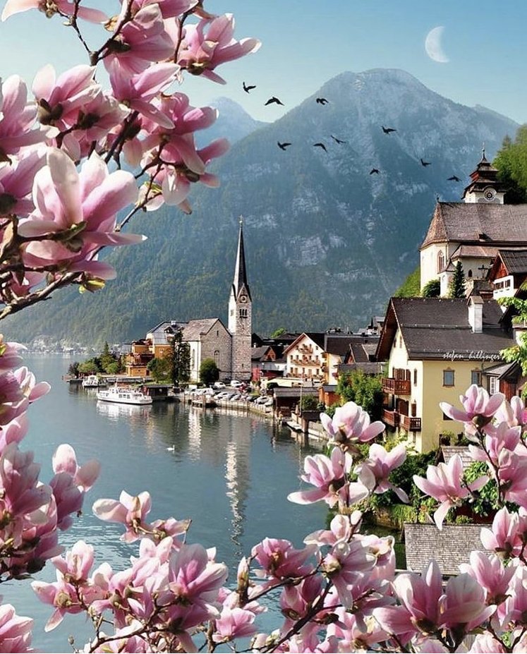 Халльштатт - горы, море, пейзаж, город - оригинал