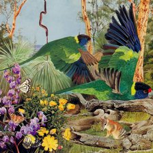 Схема вышивки «Птицы»