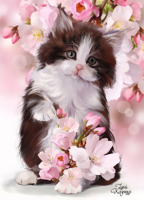 Котик - животные - оригинал