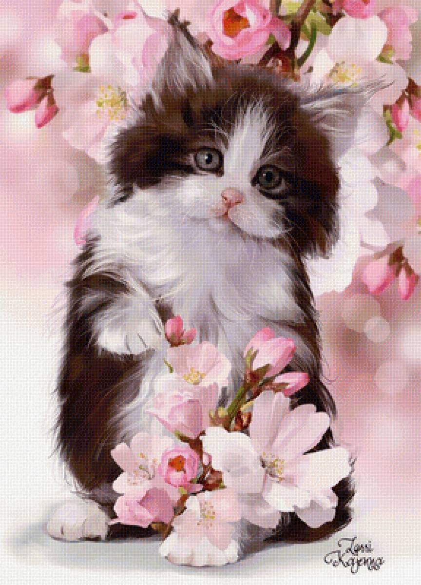 Котик - животные - предпросмотр