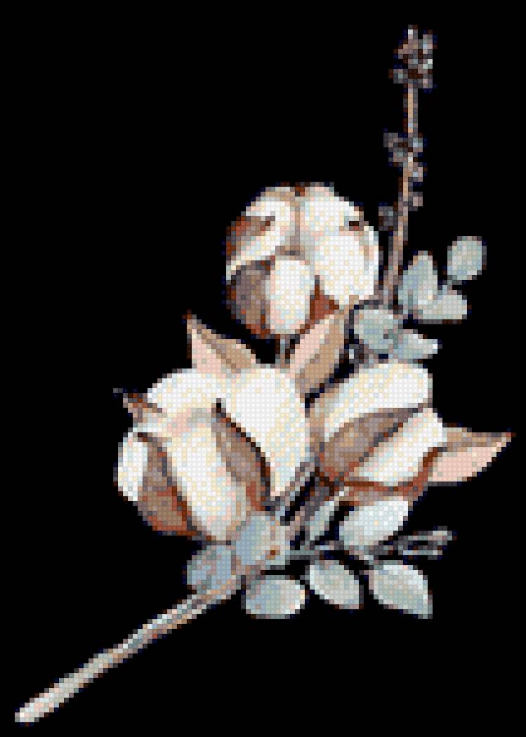 Акварель хлопок - букет, веточка, нежный, хлопок, акварель - предпросмотр