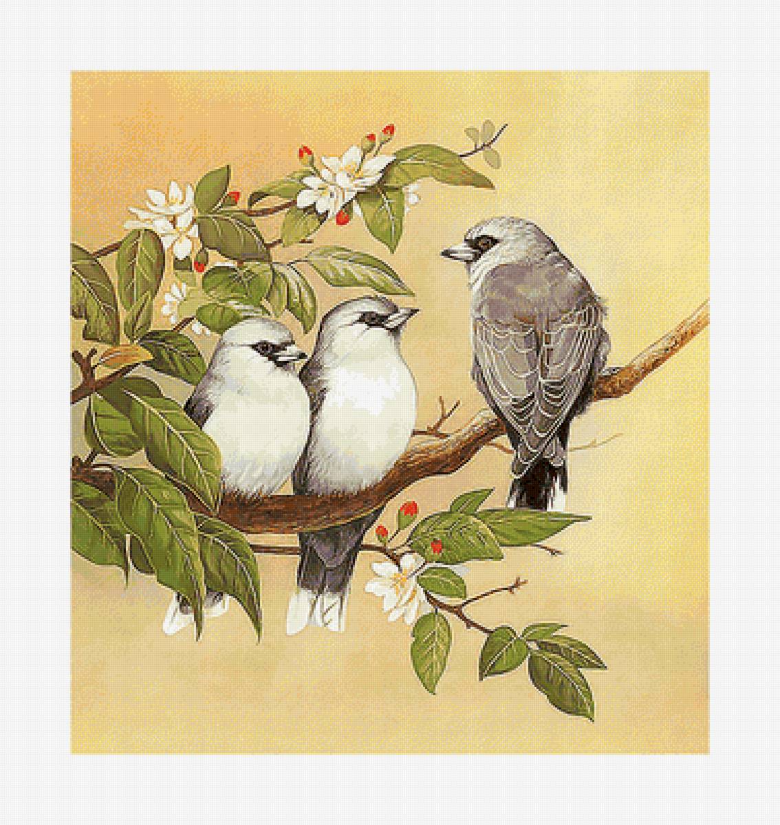 Птицы. - птицы, цветы, живопись, ветка - предпросмотр