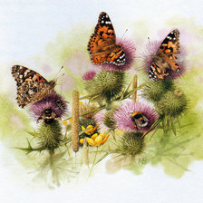 Оригинал схемы вышивки «бабочки» (№2098330)