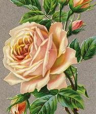 Схема вышивки «гердан»