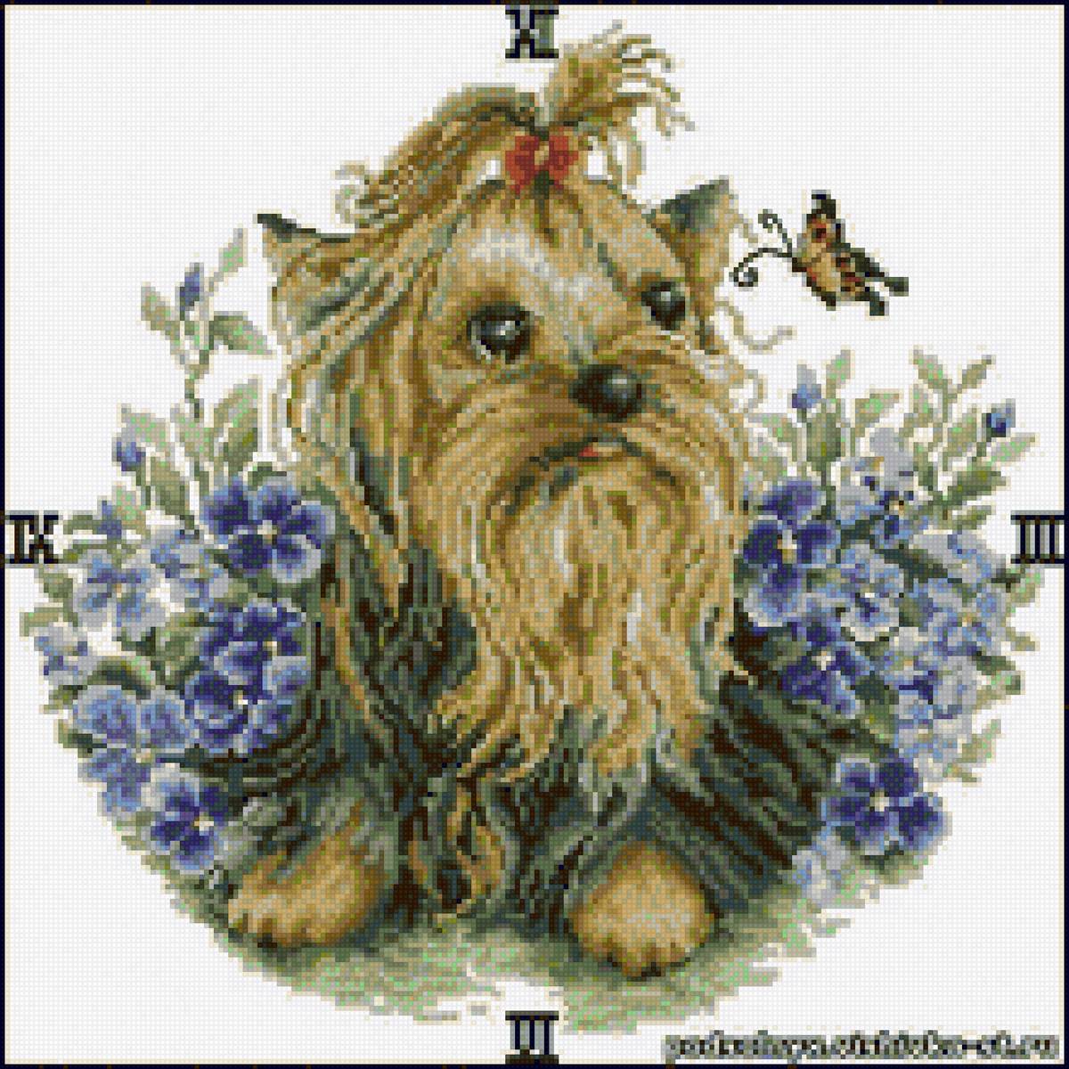 собаки - предпросмотр