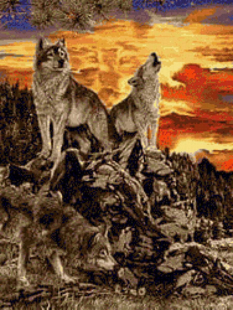 волки - предпросмотр