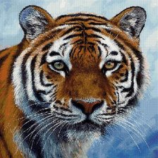 Оригинал схемы вышивки «tiger 2» (№2098624)