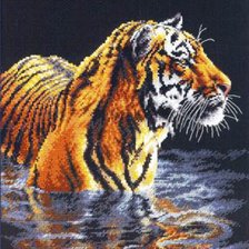 Схема вышивки «tiger 3»