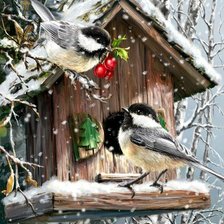 Схема вышивки «птицы»