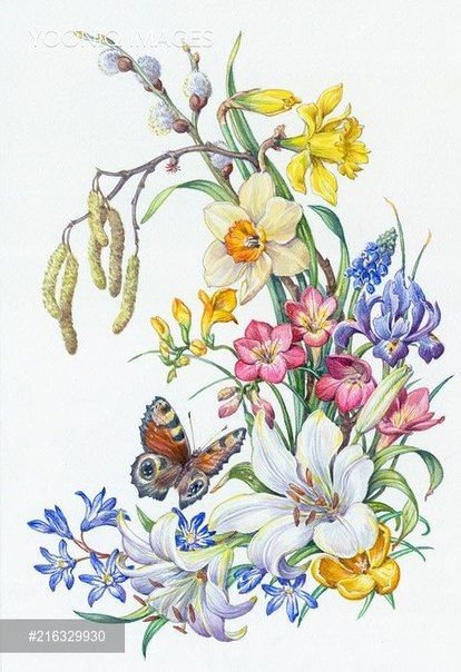 цветы - оригинал