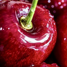 Схема вышивки «Черешня»