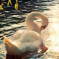 Схема вышивки «№2098878»