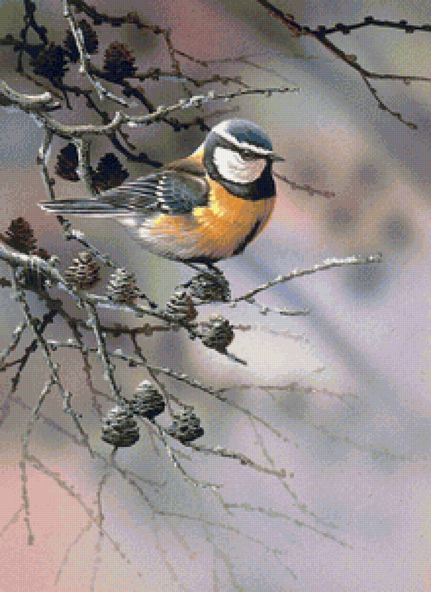 №2099560 - птицы, синичка - предпросмотр