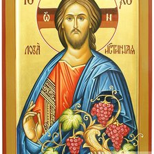 Истинная Лоза