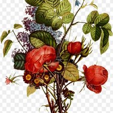 Схема вышивки «букет»