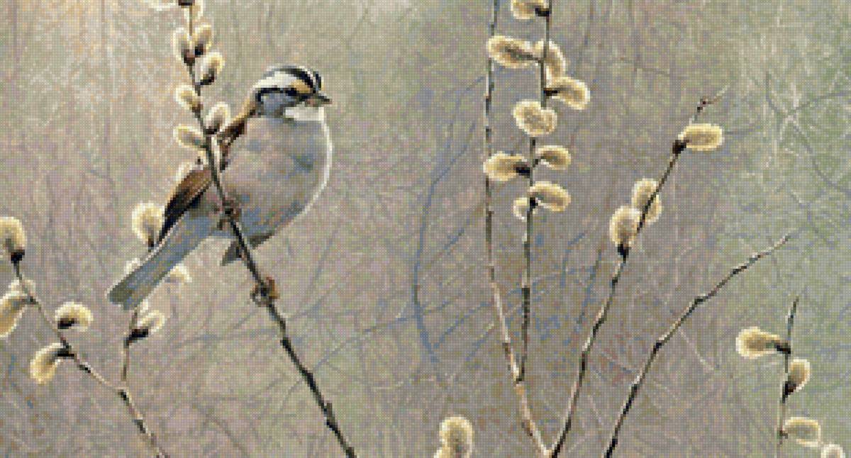 Худ. Роберт Бетман - цветущая ветка, верба, птицы, весна - предпросмотр