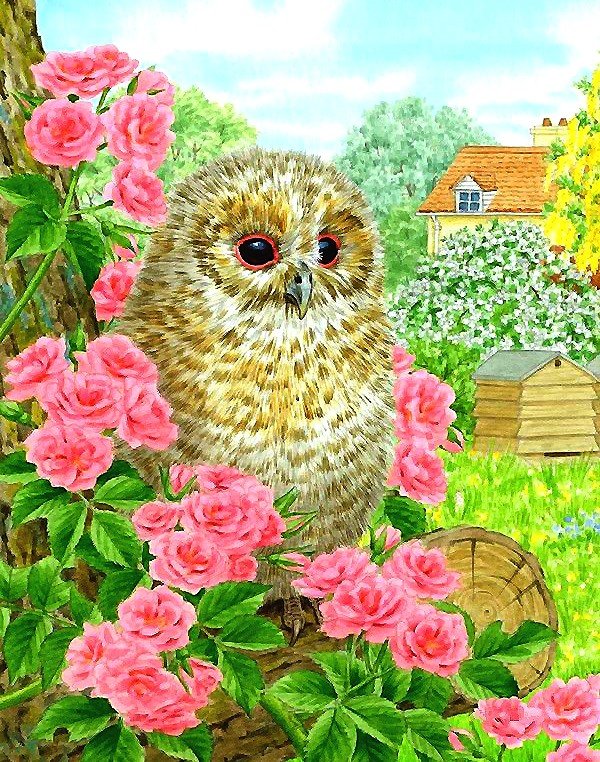 совёнок - мир животных. - оригинал