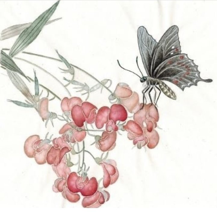 Бабочка. Японская живопись - япония, бабочка, цветок - оригинал