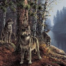 Схема вышивки «волки»