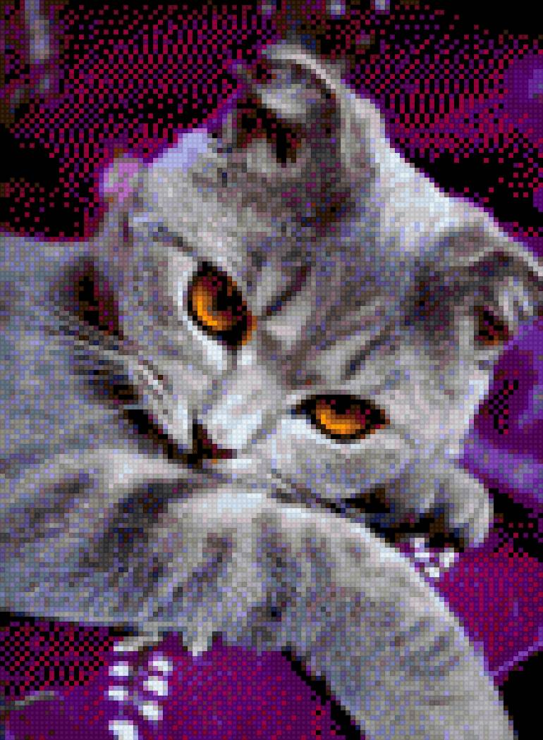 Луиза - кошка - предпросмотр