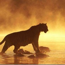 Схема вышивки «тигры»