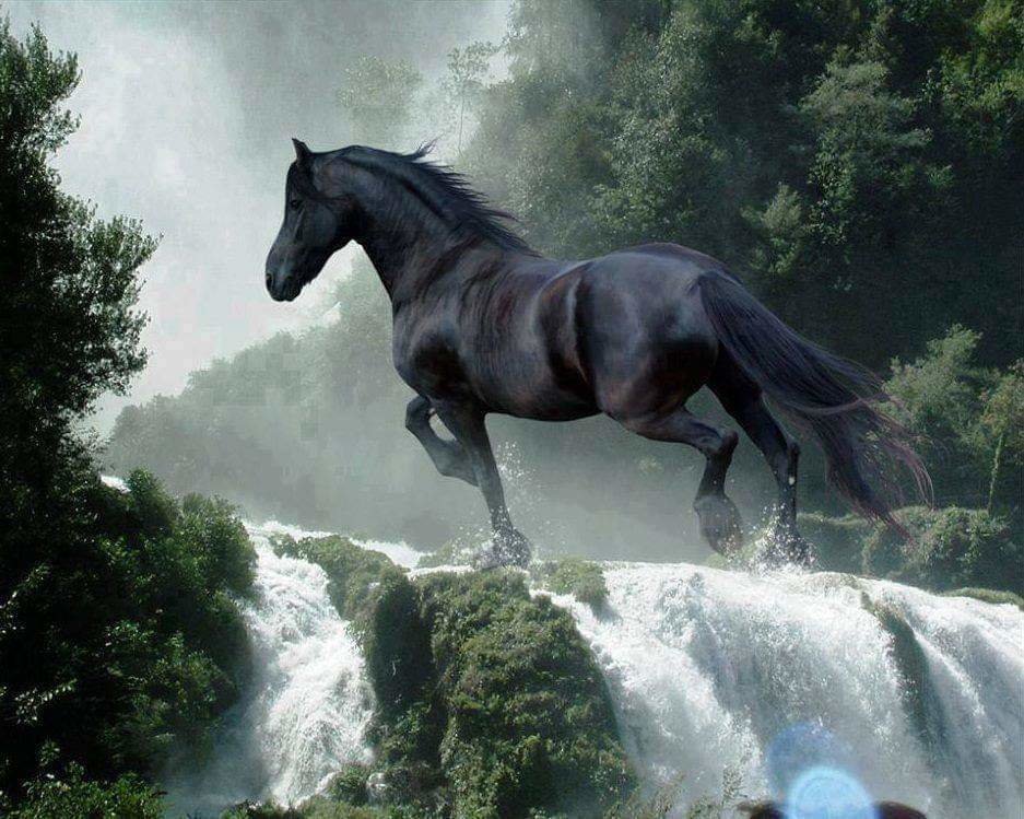 кони - оригинал