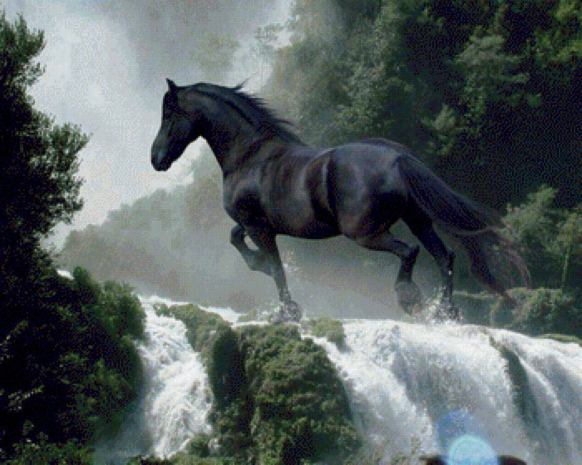 кони - предпросмотр